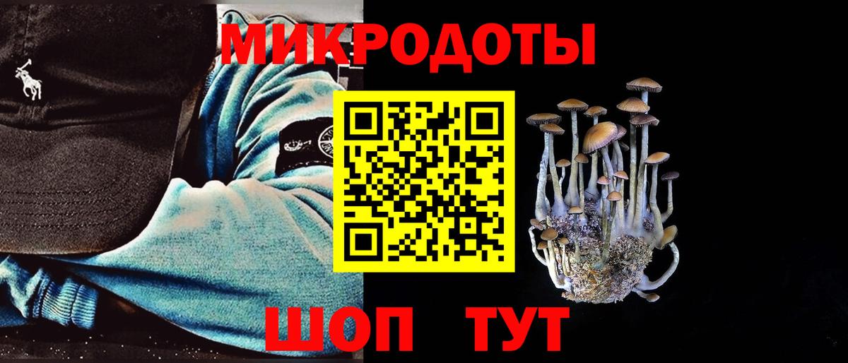Псилоцибиновые грибы MAGIC MUSHROOMS  Вход с VPN  Каспийск 