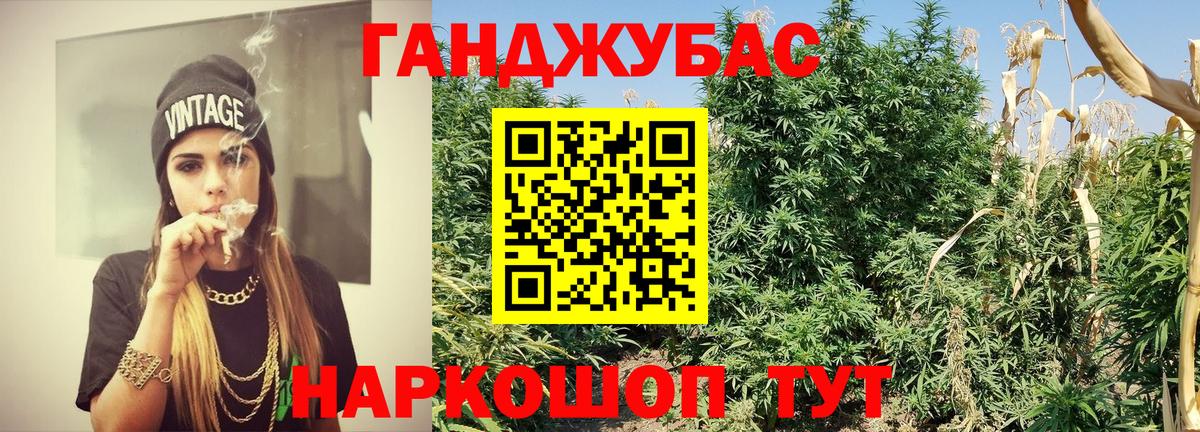 Конопля OG Kush Каспийск